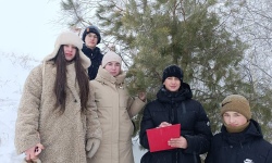 Урок под кронами сосен